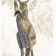 Illustration for article titled Where once the giant wombat roamed, only footprints remain